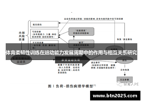 体育柔韧性训练在运动能力发展周期中的作用与相互关系研究