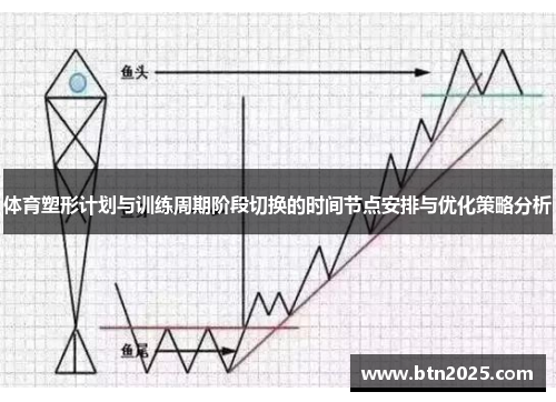 体育塑形计划与训练周期阶段切换的时间节点安排与优化策略分析